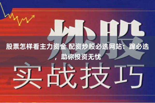 股票怎样看主力资金 配资炒股必选网站：蹿必选，助你投资无忧