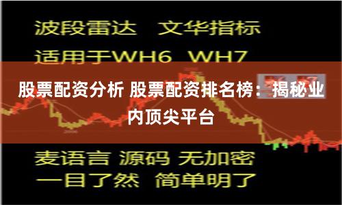 股票配资分析 股票配资排名榜：揭秘业内顶尖平台