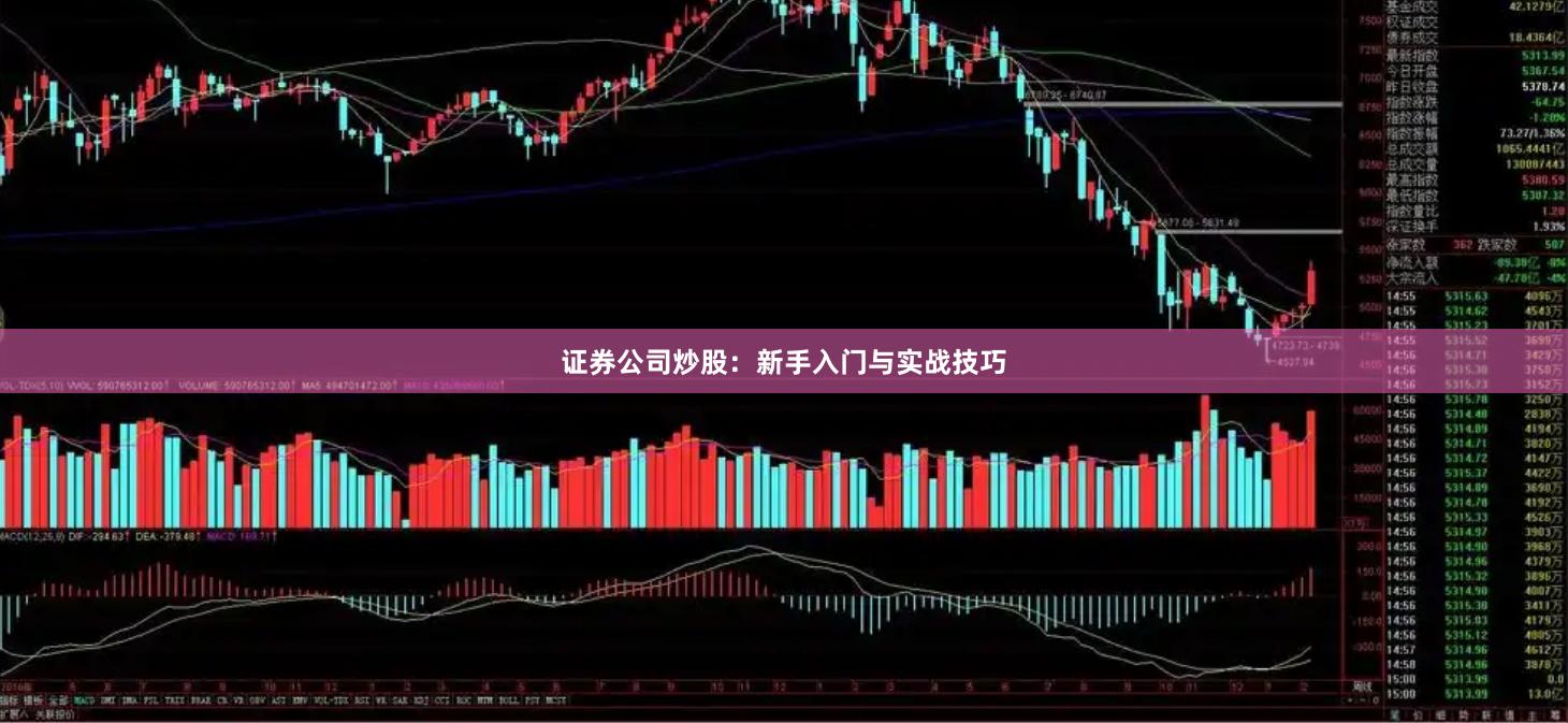 证券公司炒股：新手入门与实战技巧